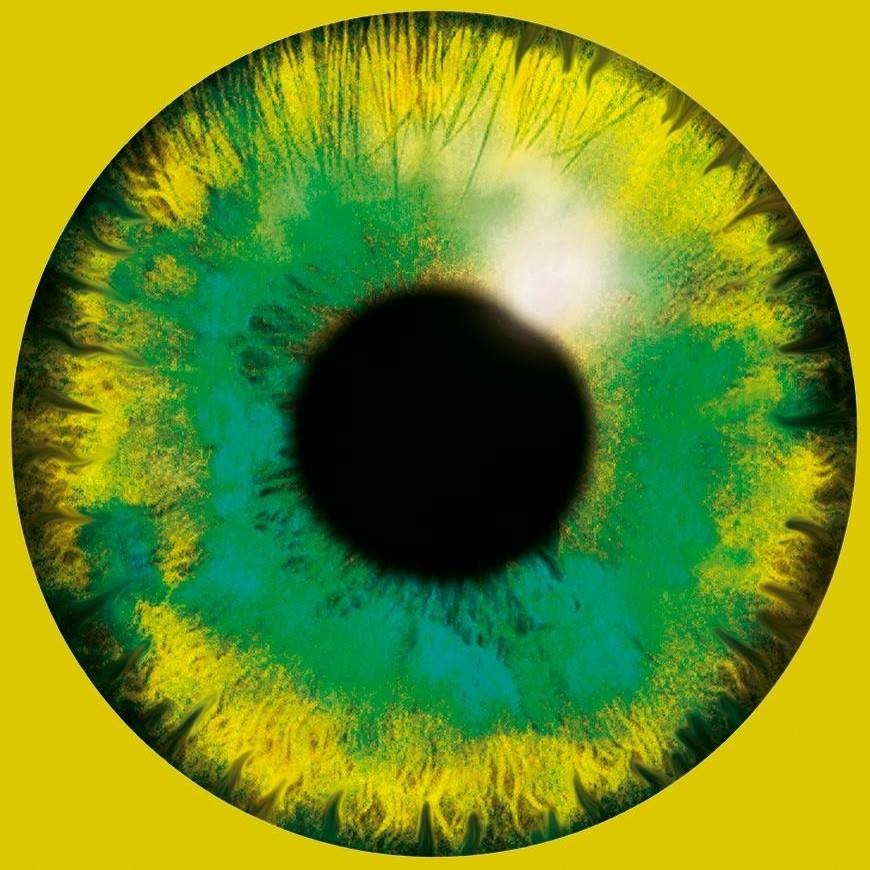 eye