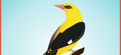 Logo-Oriolus-Kleinsendelbac_20180212-131006_1